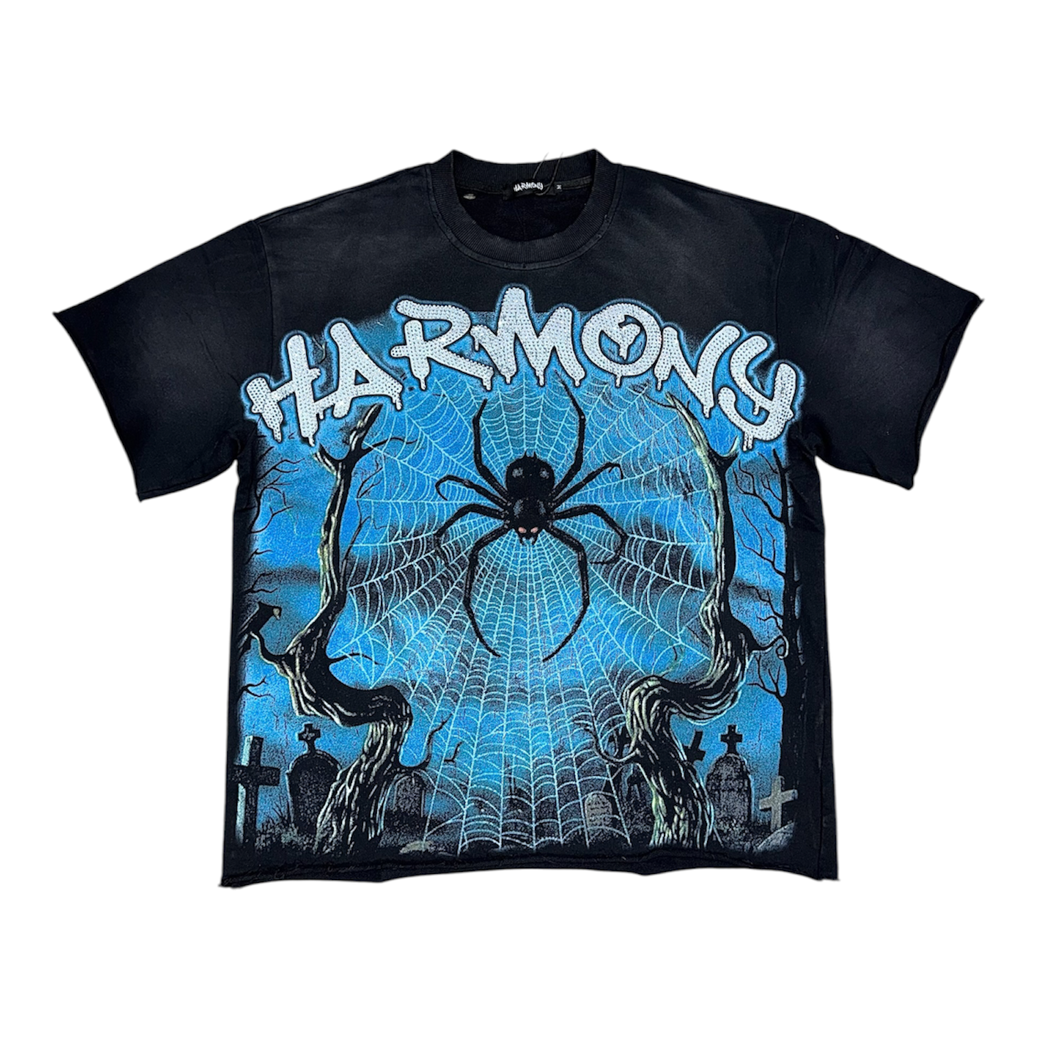 "Caught In The Web" Harmony